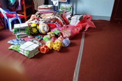 books-and-blankets-for-Shree