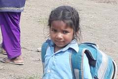 shree-school-9